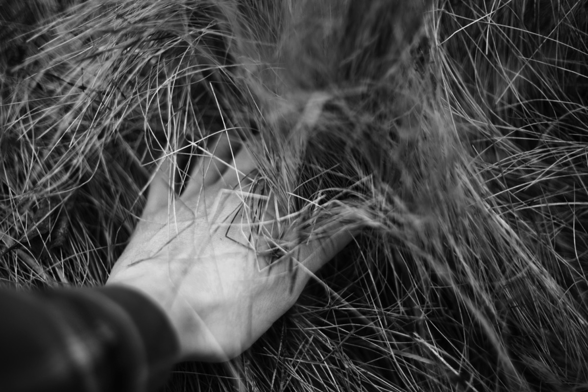 A hand reaching through wild grass, representing trust and connection in philanthropy