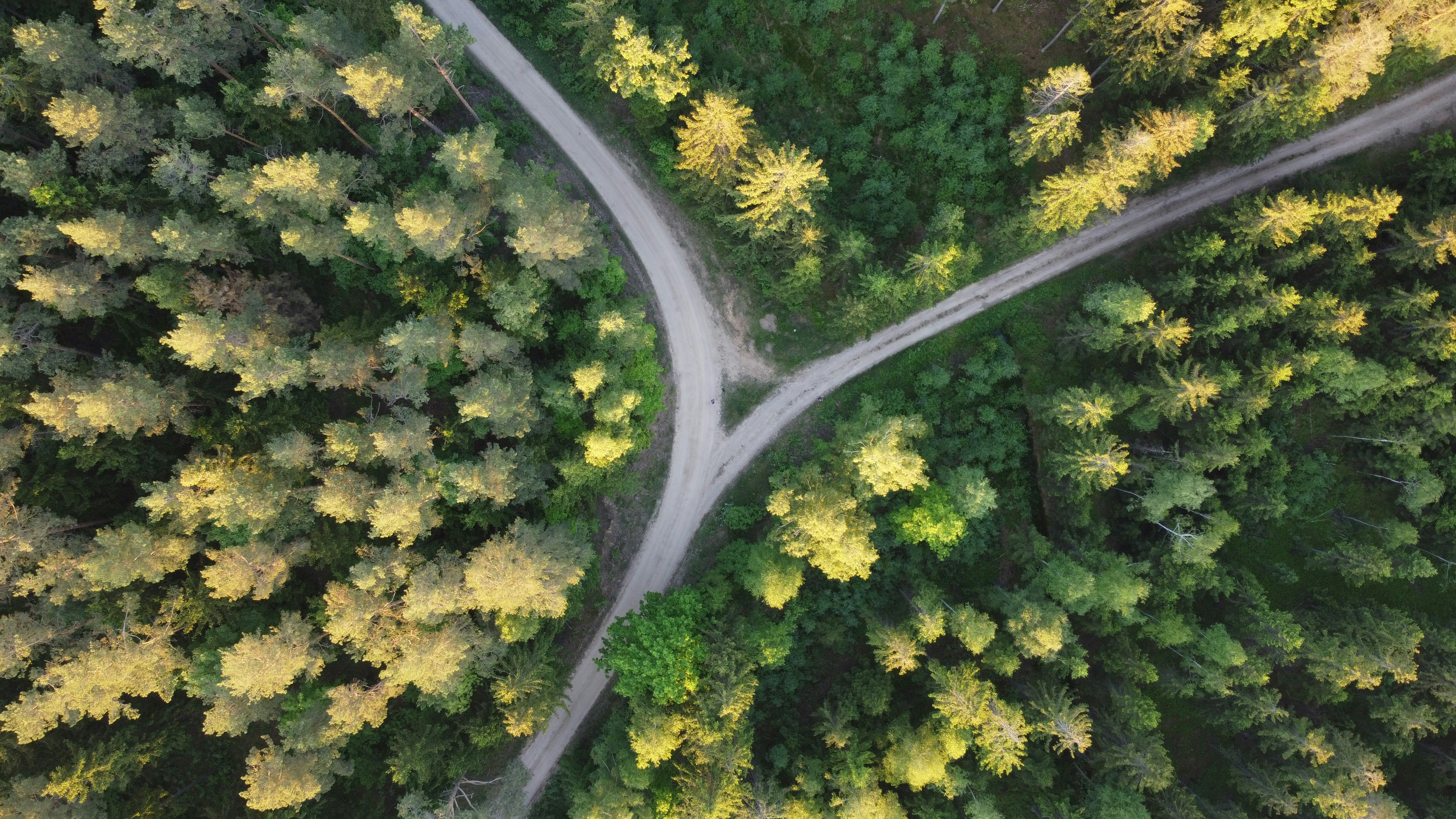 Aerial view of two paths diverging through a forest — the choice every advisor faces with the next generation of givers